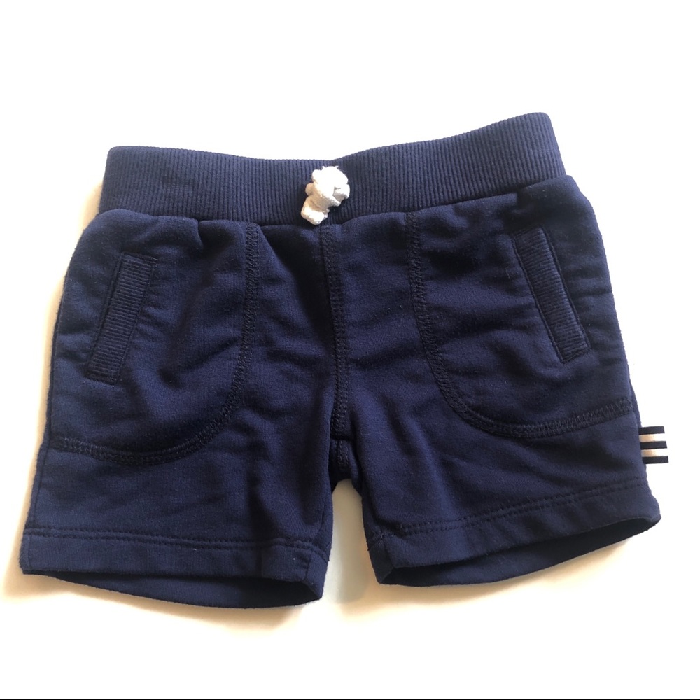Splendid shorts